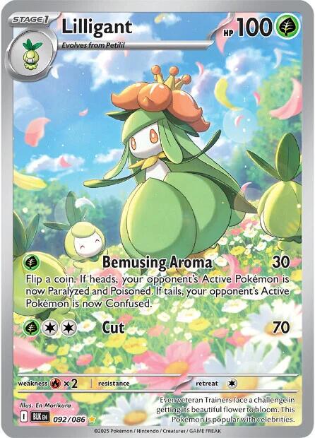 Black Bolt Lilligant Pokémon card